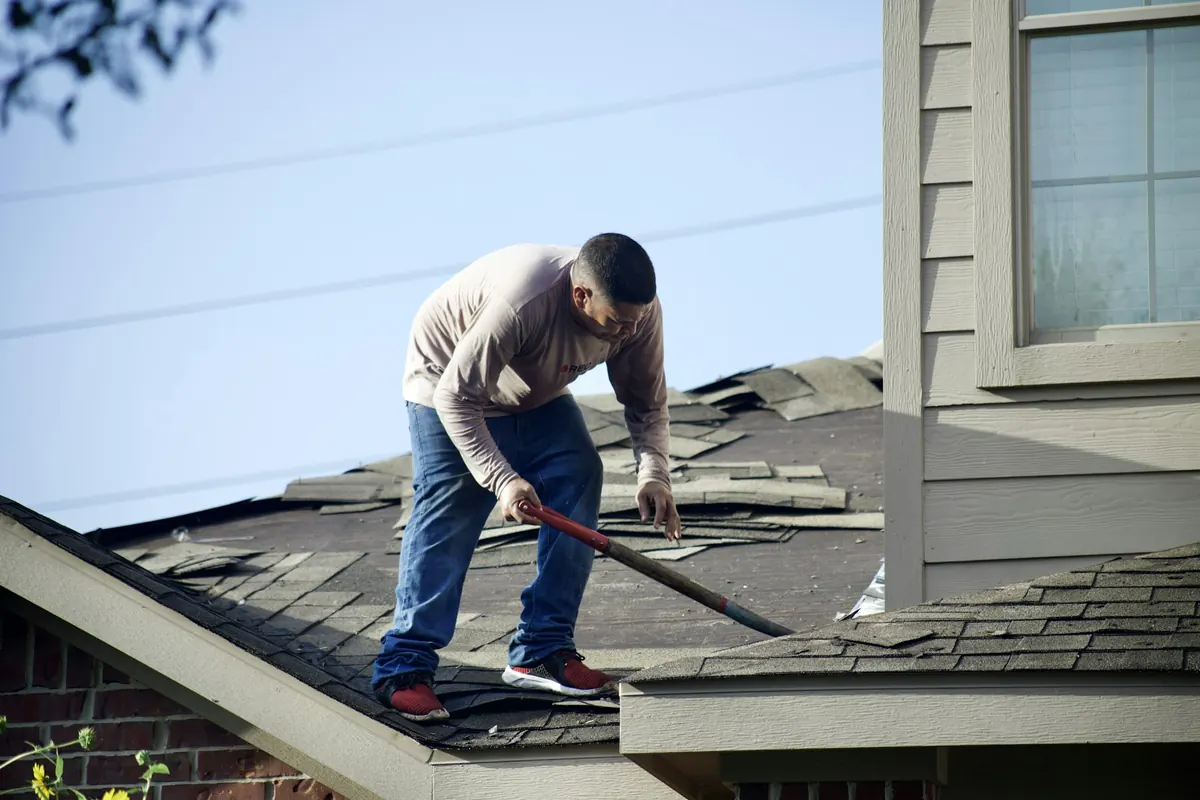 Roofer removing old asphalt shingles during a residential roof replacement